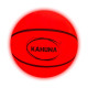 Kahuna Basketball L.E.D Glow Light Up Trampoline Ball thumbnail