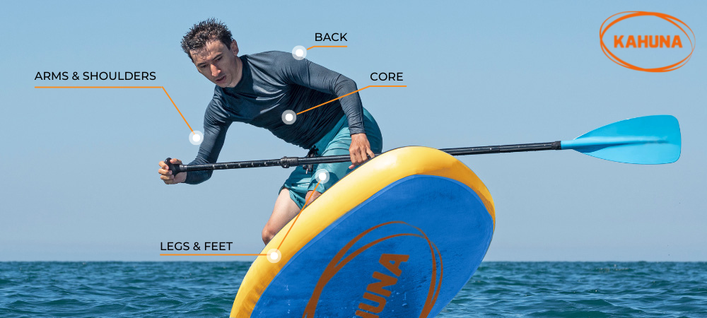 Muscles worked during a stand up paddle boarding workout